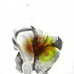 Sans titre, 27,5 x 35,5 cm, Agrandissement